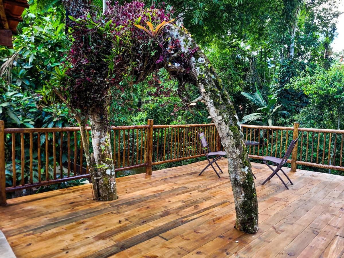 News Hospedagem Araquari Exterior foto